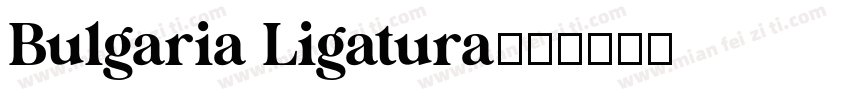 Bulgaria Ligatura字体转换